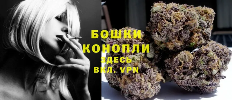 Каннабис OG Kush  купить наркотик  Краснознаменск 